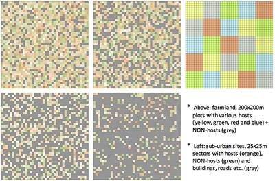 Individual-Based Modeling Approach to Assessment of the Impacts of Landscape Complexity and Climate on Dispersion, Detectability and Fate of Incipient Medfly Populations